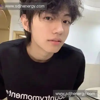 丁震